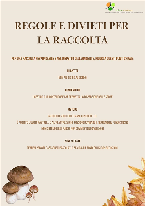 Raccolta Funghi 2025